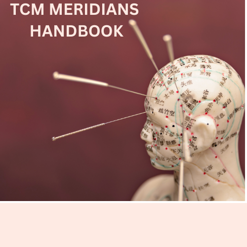 Traditional Chinese Medicine Meridian Theory Handbook